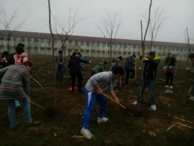 同学们相互协作、辛勤劳动