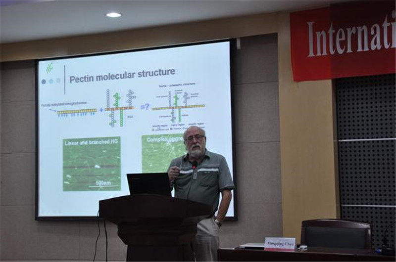 V.J.Morris,Food Research Institute UK报告